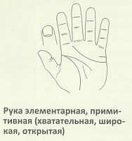 Рука элементарная, примитивная (хватательная, широкая, открытая)