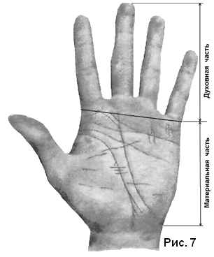 двоиное деление руки