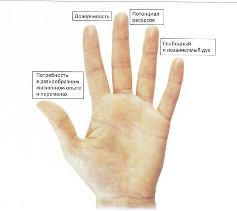 Растопыренные пальцы рука и их значение