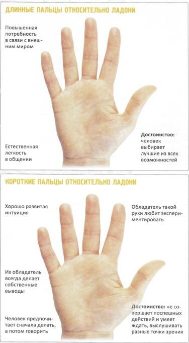 Образцы длиные и короткие пальцы